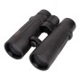 Braun Compagno 10x50 WP (20007)