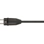 Brennenstuhl 1160210 prolunghe e multiple 3 m 1 presa(e) AC Interno/esterno Nero