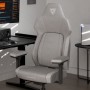 ThunderX3 CORE Smart Ergonomischer Gaming Stuhl - Loft Grey (TEGC-2070104.41)