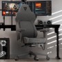 ThunderX3 CORE Smart Ergonomischer Gaming Stuhl - Loft Dark Grey (TEGC-207010Z.Z1)