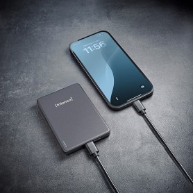 Intenso MW10000 Polimeri di litio (LiPo) 10000 mAh Carica wireless Grigio (7344034)