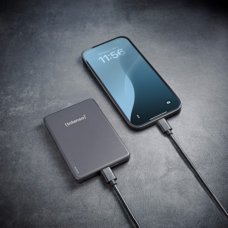 Intenso MW10000 Polimeri di litio (LiPo) 10000 mAh Carica wireless Grigio (7344034)