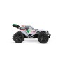 RC 2,4GHz Team Rider (370200003)