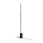 Philips Hue White and Color ambiance Lampada da terra Signe gradient (915005987201)