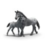 schleich 42776 set da gioco