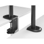 Equip Staffa di montaggio da tavolo articolata per doppio monitor da 17“-32”, nero (65015707101)