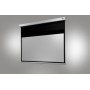 Celexon Professional Plus lavagna 2200 x 1240 mm (1090788)