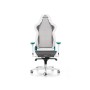 DXRacer AIR R1S-WQG Sedia per gaming universale Seduta in rete Grigio (AIR-R1S-WQG-BX1)