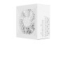 GSK 850W V2 WHITE EC (0-761345-20152-0)