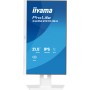 iiyama ProLite XUB2293HSU-W7 Monitor PC 54,6 cm (21.5") 1920 x 1080 Pixel Full HD LED Bianco
