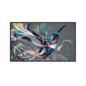 Philips 50BDL3510Q/00 visualizzatore di messaggi Pannello piatto per segnaletica digitale 125,7 cm (49.5") VA 400 cd/m² 4K Ultr