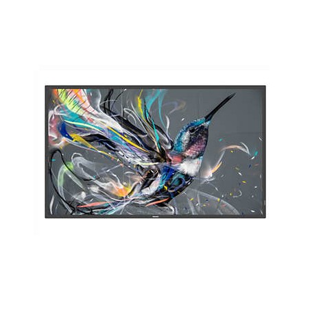 Philips 50BDL3510Q/00 visualizzatore di messaggi Pannello piatto per segnaletica digitale 125,7 cm (49.5") VA 400 cd/m² 4K Ultr
