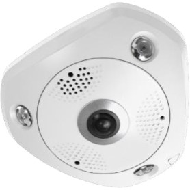 LevelOne FCS-3095 telecamera di sorveglianza Sferico Telecamera di sicurezza IP Interno e esterno 4000 x 3000 Pixel Soffitto/Par