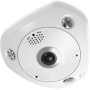 LevelOne FCS-3095 telecamera di sorveglianza Sferico Telecamera di sicurezza IP Interno e esterno 4000 x 3000 Pixel Soffitto/Par