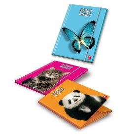 Pigna File Folder 6 pcs Carta Giallo 260 x 345 mm (02137333L)