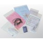 Willchip TG6080 busta Trasparente (TG6080)