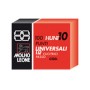 Molho Leone 31010 punto 1000 punti (31010)