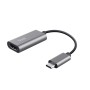 DALYX USB-C HDMI ADAPTER (23774)