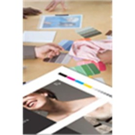 Epson Proofing Paper White Semimatte, in rotoli da 33,02 cm (13'') (13'') x 30, 48 m (13" x 100'). (C13S042002)