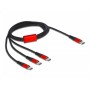 DeLOCK 86713 cavo USB 1 m USB 2.0 USB C Nero, Rosso (86713)