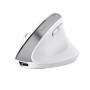 Trust Bayo+ mouse Mano destra RF senza fili + Bluetooth Ottico 2400 DPI (25399)