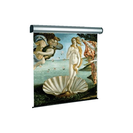 Sopar Electric professional schermo per proiettore 2,92 m (115") 1:1 (5250RN)