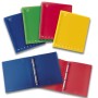 CF5 RACCOGLITORE ANELLI A4 MONOCRO. (021966530)