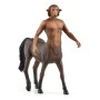 FIORENZO (13986)
