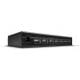 Lindy 42794 hub di interfaccia USB 2.0 Type-B 480 Mbit/s Nero (42794)