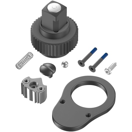 C2 / C3 Push Knarren-Reparaturset (05547614001)