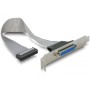 DeLOCK 84300 cavo SATA 0,22 m (84300)