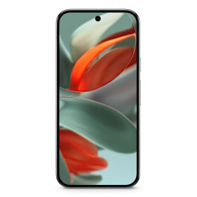 Pixel 9 Pro XL 256GB (Hazel, Android 14, Dual SIM, 16 GB) (GA05985-GB)
