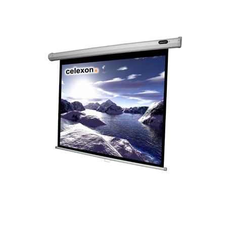 Celexon 1090036 schermo per proiettore 4:3 (1090036)
