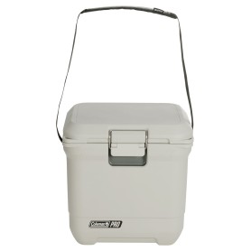 PRO 25QT (beige) (2213850)