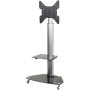 SpeaKa Professional TV-Rollwagen 81,30cm (32") - 139,70cm (55") Neigbar SpeaKa Professional (29215C35)