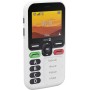 Doro Leva X10 4G Großtasten (380575)