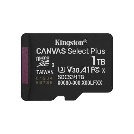 Kingston Technology 1TB micSDXC Canvas Select Plus Gen3 150R A1 (Adattatore SD non incluso) (SDCS3/1TBSP)