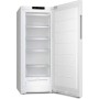 Miele FN 4322 C - NoFrost, SideOpen, Scatola XXL, 200l