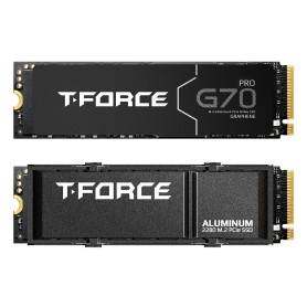 T-FORCE G70 Pro 2 TB (PCIe 4.0 x4 | M.2 2280 | Aluminium-Khlkrper) (TM8FFH002T0C128)
