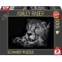 Ashley Rader: Speed - Gepard, Im Zeichen der Anmut (1000 Teile) (58542)