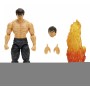 Street Fighter ll - Fei-Long (253252027)