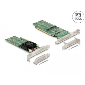 DeLOCK 90078 scheda di interfaccia e adattatore Interno M.2 (90078)