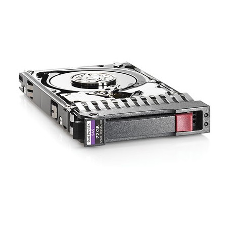 Hewlett Packard Enterprise 1.2TB 6G SAS 10K rpm SFF 2.5" 1200 GB (718162-B21)