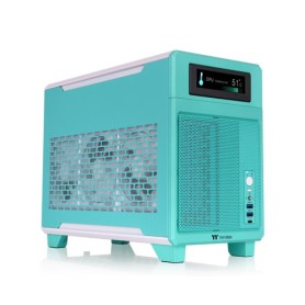 TR100  (mint/beere) (CA-11A-00SLNN-00)