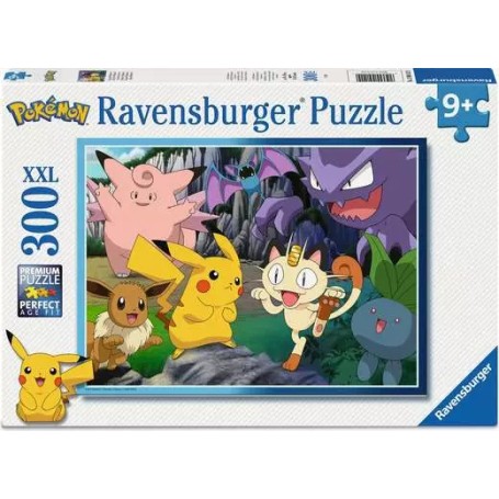 Kinderpuzzle - Fang die Pokmon! (300 Teile) (12004142)