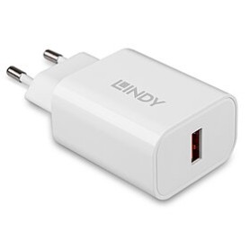 Lindy 73412 Caricabatterie per dispositivi mobili Smartphone, Tablet Bianco AC Ricarica rapida Interno, Esterno (LINDY73412)