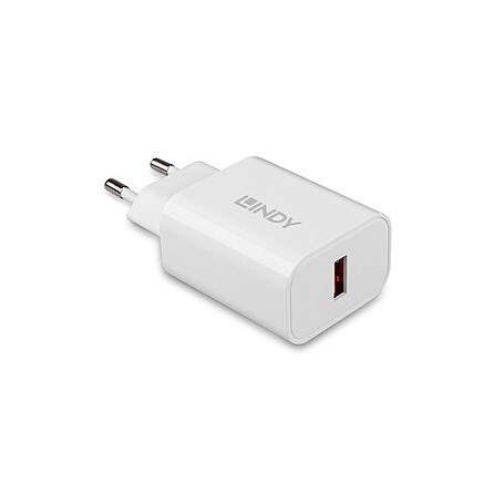Lindy 73412 Caricabatterie per dispositivi mobili Smartphone, Tablet Bianco AC Ricarica rapida Interno, Esterno (LINDY73412)