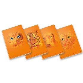 CF10 ORANGE A4 100GR R.5M FF38 (02333685M)