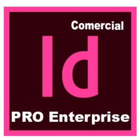 INDESIGN - PRO ENTERPRISE MULTI (65324928CA01A12)