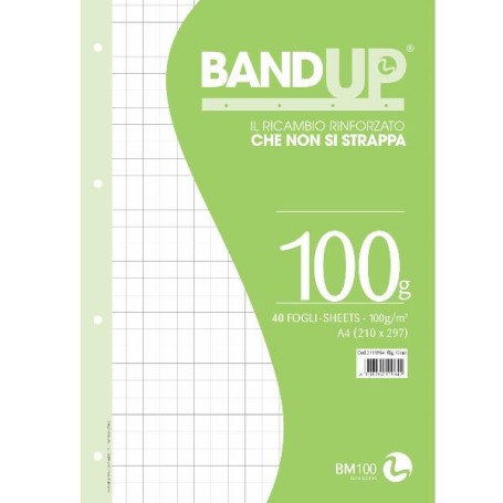 RICAMBI RINF. BANDUP 100G A4 R.10MM (0111984)